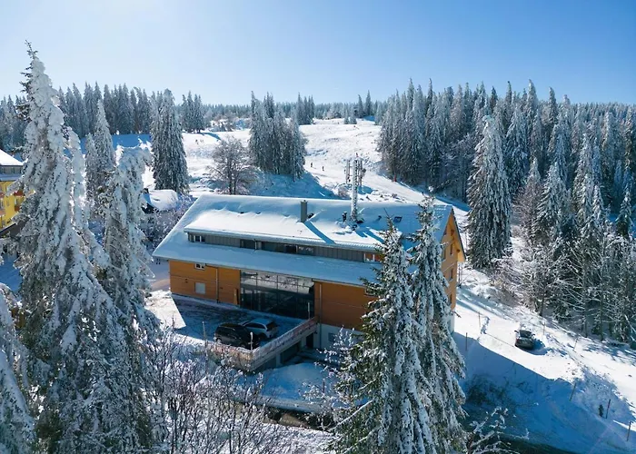 Wiesenquell Apartment Feldberg