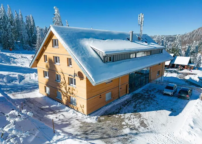 Wiesenquell Apartment Feldberg