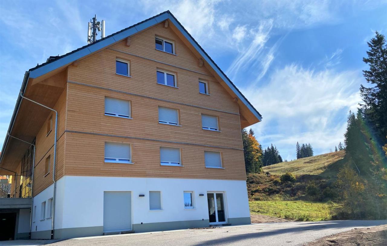 Wiesenquell Feldberg *