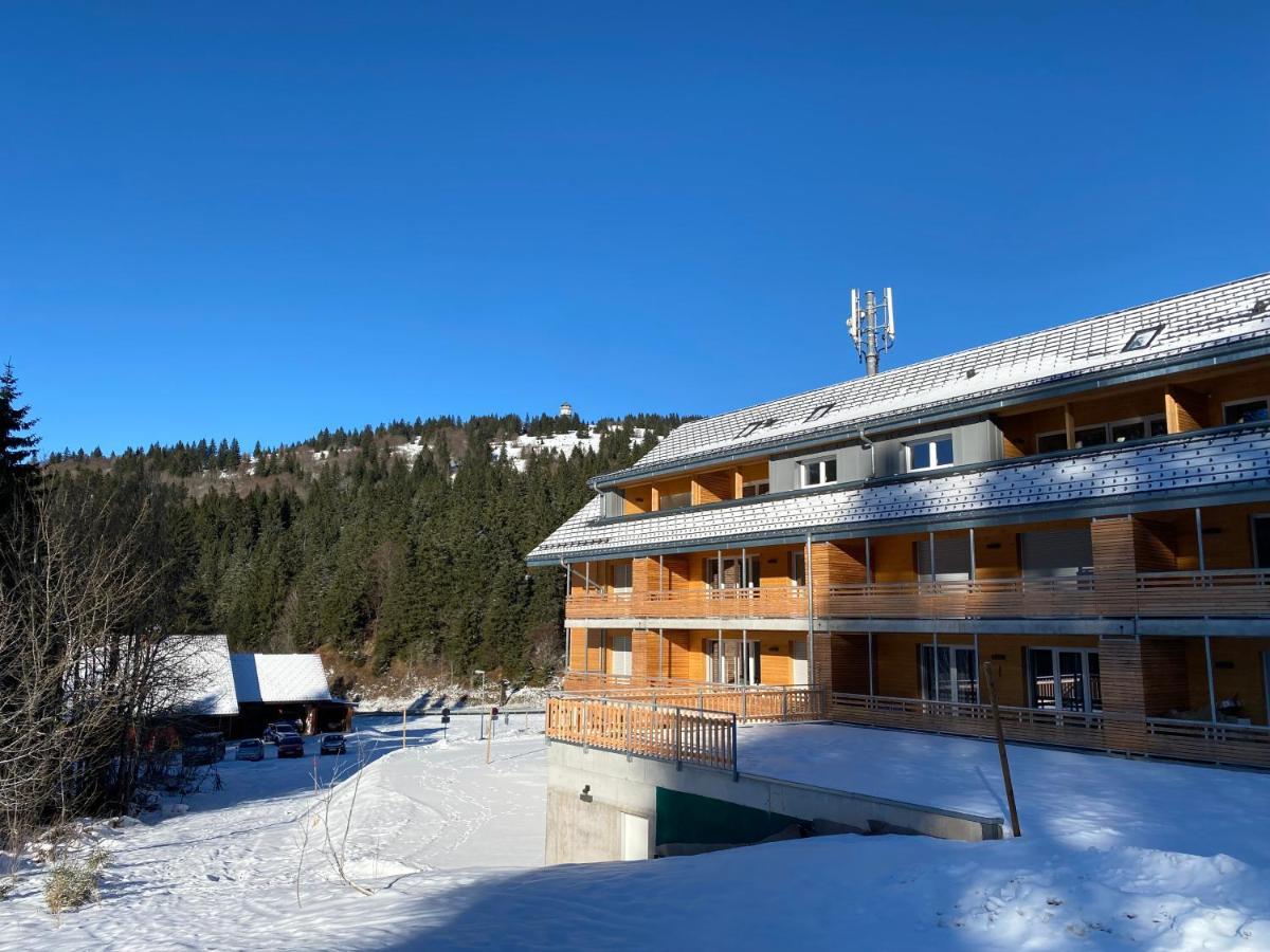 Wiesenquell Feldberg *