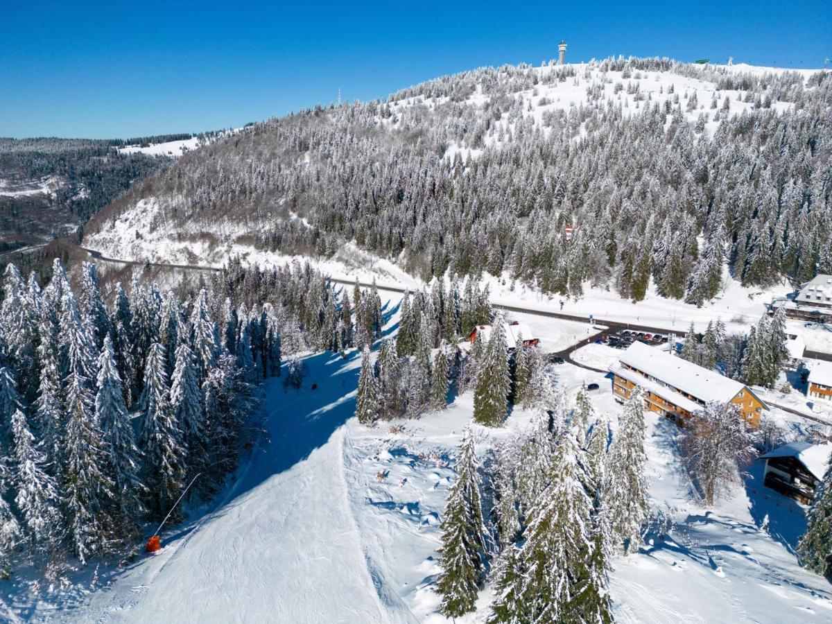 Appartement Wiesenquell Feldberg